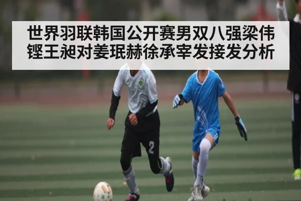 世界羽联韩国公开赛男双八强梁伟铿王昶对姜珉赫徐承宰发接发分析